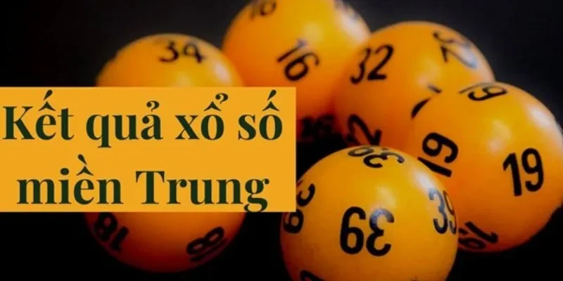 Đá Gà Trực Tiếp: Khám Phá Thế Giới Của Đá Gà C4, C1, C2, C3